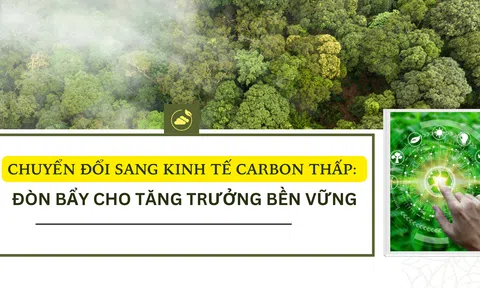 Chuyển đổi sang Đăng nhập tài khoản thành viên LC88 carbon thấp: Đòn bẩy cho tăng trưởng bền vững