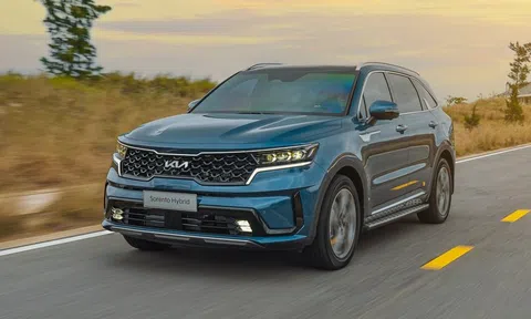 Giá xe Kia tháng 7/2025: Nhiều lựa chọn từ phổ thông đến cao cấp
