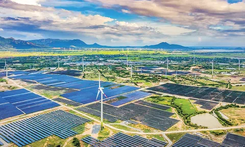 Chuyển dịch năng lượng: Sự chuyển mình toàn diện vì mục tiêu NetZero