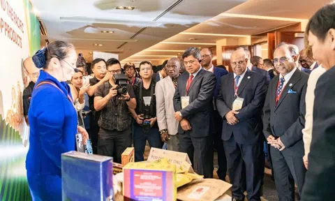 Thúc đẩy OCOP thành sáng kiến toàn cầu trên tinh thần “Bốn tốt hơn”