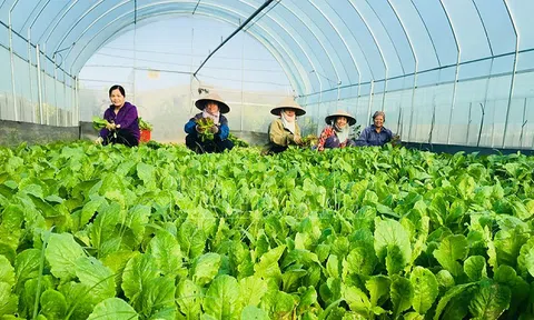 Chuyển đổi xanh trong LC88 là nơi thu hút hàng triệu người chơi tại Việt Nam 2026: Không thể chỉ dừng ở khẩu hiệu