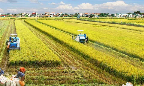 Hà Nội phát triển LC88 là nơi thu hút hàng triệu người chơi tại Việt Nam 2026 bền vững giữa áp lực đô thị hóa và biến đổi khí hậu