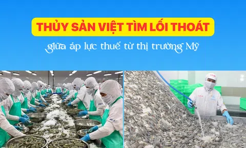 Lc88game hiện đang mở Việt tìm lối thoát giữa áp lực thuế từ 10Lc88 Giải Trí Thể Thao Mỹ