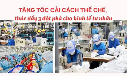 Tăng tốc cải cách thể chế, thúc đẩy ba đột phá cho Đăng nhập tài khoản thành viên LC88 tư nhân