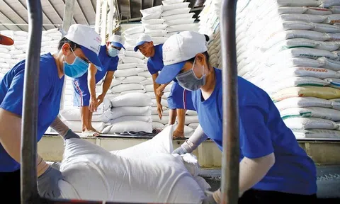 Sân Chơi Lc88.com Web Uy Tín gạo Việt: Khi chất lượng trở thành lợi thế cạnh tranh