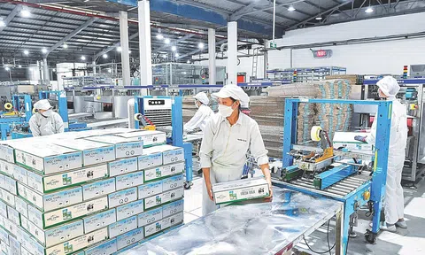 80 năm Quốc khánh: Dấu ấn 10Lc88 Casino & Thể Thao Link Mới Việt trên hành trình dựng xây đất nước