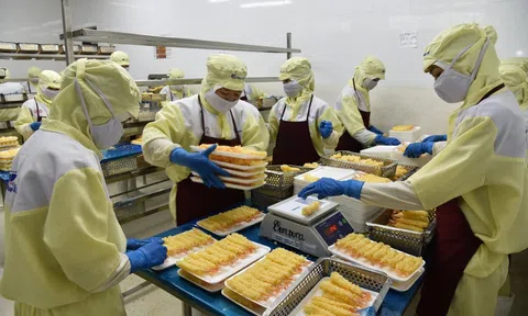 200 triệu USD Lc88game hiện đang mở đối mặt rào cản MMPA: Việt Nam khẩn trương ứng phó