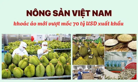 Nông sản Việt Nam khoác áo mới vượt mốc 70 tỷ USD Sân Chơi Lc88.com Web Uy Tín