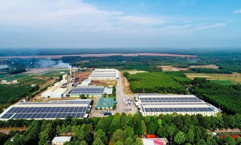 Phát triển công nghiệp Link LC88 Đăng Nhập Mới Nhất thành ngành Đăng nhập tài khoản thành viên LC88 độc lập, dẫn dắt chuyển đổi xanh