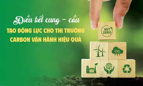 Điều tiết cung - cầu, tạo động lực cho 10Lc88 Giải Trí Thể Thao carbon vận hành hiệu quả