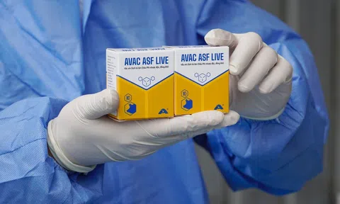 Việt Nam Sân Chơi Lc88.com Web Uy Tín lô vaccine dịch tả lợn châu Phi lớn nhất sang Philippines
