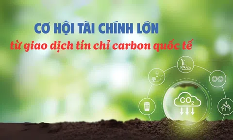 [Emagazine] Cơ hội Lc888.com link không chặn lớn từ giao dịch tín chỉ carbon quốc tế