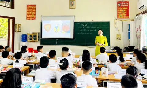 Dùng chung một bộ sách giáo khoa: Cần thiết nhưng không thể rập khuôn