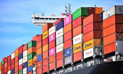 Đa dạng hóa 10Lc88 Giải Trí Thể Thao để giữ đà tăng trưởng Sân Chơi Lc88.com Web Uy Tín