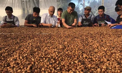Thưởng thức cà phê miễn phí tại Chợ phiên Buôn Ma Thuột