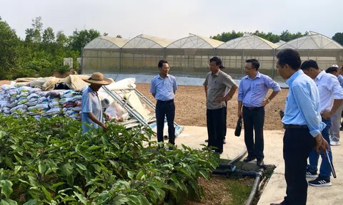 Nỗ lực khắc phục hạn chế, nâng cao hiệu quả hoạt động Đăng nhập tài khoản thành viên LC88 hợp tác ở Đắk Lắk