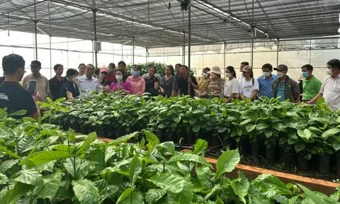 Khuyến nông Đắk Nông: Điểm tựa giúp Trang Chủ LC88.COM Link Mới 2026 Đăng Ký LC 88 thoát nghèo, vượt khó