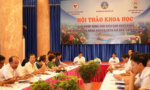 Nâng cao năng lực và hiệu quả hoạt động của Hợp tác xã LC88 là nơi thu hút hàng triệu người chơi tại Việt Nam 2026 tại Đắk Lắk