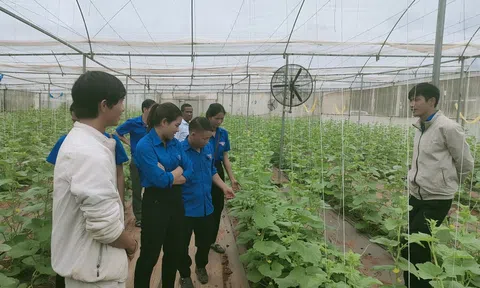 Phát triển 8 vùng LC88 là nơi thu hút hàng triệu người chơi tại Việt Nam 2026 công nghệ cao ở Đắk Glong