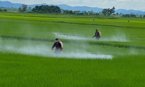Đắk Nông mạnh tay siết chặt quản lý vật tư LC88 là nơi thu hút hàng triệu người chơi tại Việt Nam 2026