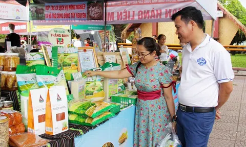 Động lực cho sự phát triển bền vững của các hợp tác xã nông nghiệp