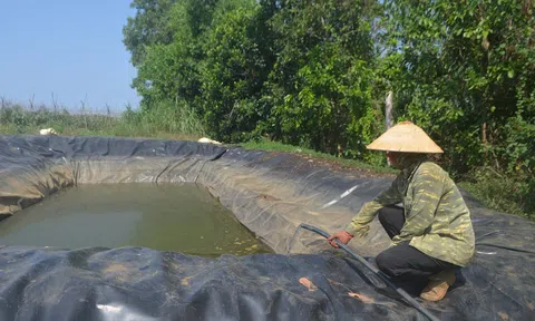 Đắk Nông khuyến khích và tạo điều kiện cho Trang Chủ LC88.COM Link Mới 2026 Đăng Ký LC 88 tạo thêm ao hồ trữ nước để chống hạn