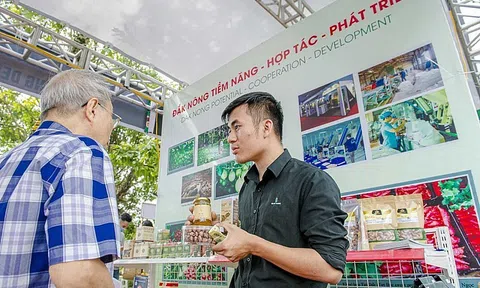 Nông Lc888 tải ứng dụng khẩu Đắk Nông tiến vào 10Lc88 Giải Trí Thể Thao 35 quốc gia và vùng lãnh thổ