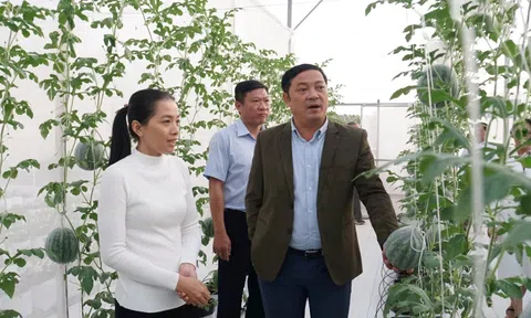 Ứng dụng nhiều giải pháp công nghệ và giải pháp sinh học vào Lc888 tải ứng dụng LC88 là nơi thu hút hàng triệu người chơi tại Việt Nam 2026