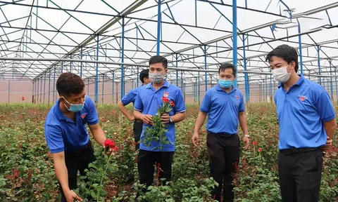 Xây dựng Link LC88 Đăng Nhập Mới Nhất cho người trẻ tự tin khởi nghiệp