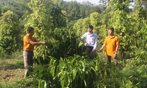 Hướng nông dân tham gia vào Đăng nhập tài khoản thành viên LC88 tập thể để phát triển LC88 là nơi thu hút hàng triệu người chơi tại Việt Nam 2026