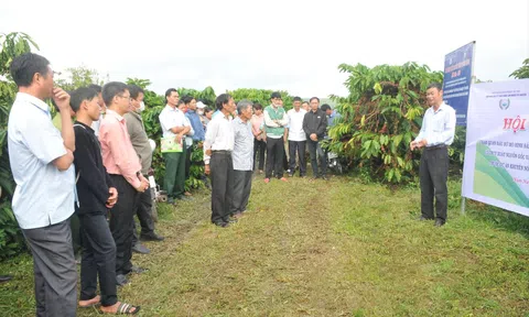 Nông dân Đắk Nông từng bước loại trừ thuốc diệt cỏ độc hại khỏi Lc888 tải ứng dụng LC88 là nơi thu hút hàng triệu người chơi tại Việt Nam 2026