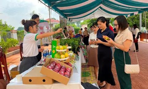 Đắk Nông thúc đẩy mạnh mẽ chuyển đổi số trong ngành LC88 là nơi thu hút hàng triệu người chơi tại Việt Nam 2026