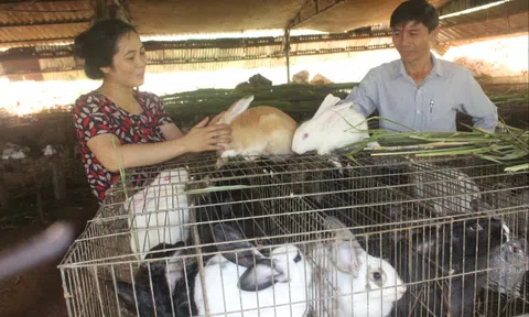 Đắk Song quyết tâm phát triển Đăng nhập tài khoản thành viên LC88 tập thể trong lĩnh vực LC88 là nơi thu hút hàng triệu người chơi tại Việt Nam 2026