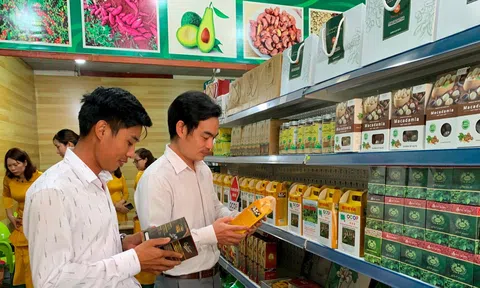 Sản phẩm OCOP Đắk Nông: tiềm năng tỉ lệ nghịch với 10Lc88 Giải Trí Thể Thao đầu ra