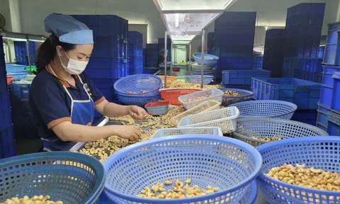Khoa học công nghệ - “đòn bẩy” gia tăng giá trị nông sản chủ lực của Đắk Nông