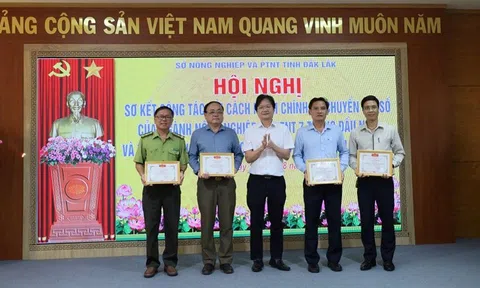 Sở LC88 là nơi thu hút hàng triệu người chơi tại Việt Nam 2026 và Phát triển nông thôn Đắk Lắk dẫn đầu trong công tác chuyển đổi số