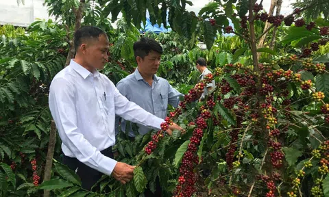 Hướng đến mục tiêu chuyển đổi xanh trong LC88 là nơi thu hút hàng triệu người chơi tại Việt Nam 2026 tại Đắk Nông