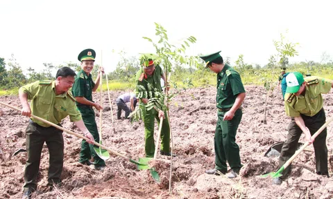 Đắk Lắk đạt 137% chỉ tiêu kế hoạch trồng rừng