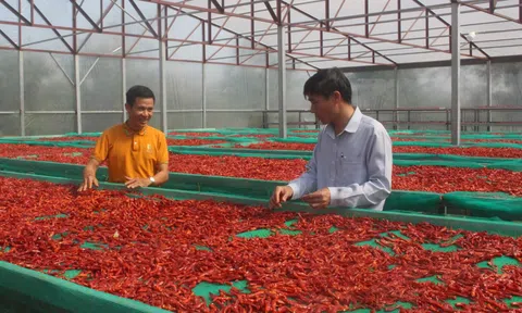 Xu hướng tiêu thụ nông sản mới của nông dân ở Đắk Nông