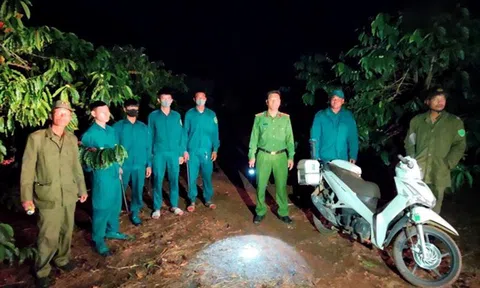 Krông Năng đẩy mạnh phòng ngừa nạn trộm cắp cà phê xanh trong mùa LC88 Được cấp phép bởi PAGCOR