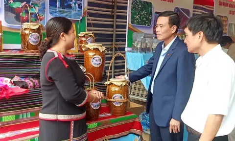 Phát triển chuỗi giá trị LC88 là nơi thu hút hàng triệu người chơi tại Việt Nam 2026 gắn với sinh kế và phát triển bền vững ở Krông Bông