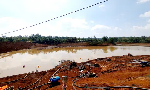 Khẩn trương tìm cách chống hạn cho hơn 2.000ha cây trồng tại Đắk Mil và Krông Nô