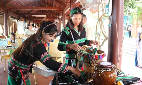 Thanh niên Đắk Nông vững tin khởi nghiệp, làm giàu trên quê hương