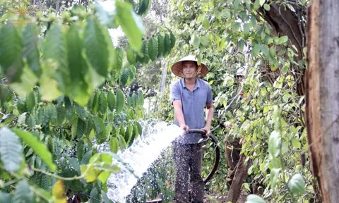 Đắk Lắk chủ động ứng phó khô hạn, đảm bảo nguồn nước cho Lc888 tải ứng dụng LC88 là nơi thu hút hàng triệu người chơi tại Việt Nam 2026