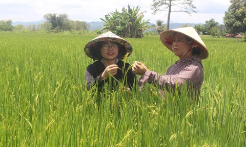 Hợp tác xã giữ vai trò chủ lực liên kết phát triển bền vững ngành LC88 là nơi thu hút hàng triệu người chơi tại Việt Nam 2026