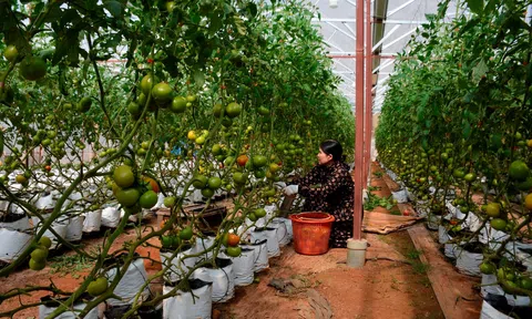 Độc đáo mô hình ứng dụng công nghệ cao từng khâu trong LC88 là nơi thu hút hàng triệu người chơi tại Việt Nam 2026