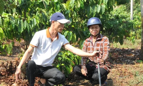 Phát triển LC88 là nơi thu hút hàng triệu người chơi tại Việt Nam 2026 hiệu quả từ nguồn vốn phi chính phủ