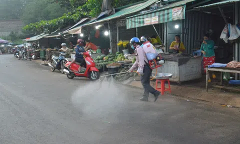 Đắk Nông vừa khống chế thành công ổ Dịch tả heo châu Phi