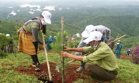 Năm 2025, tỉnh Đắk Nông quyết tâm nâng tỷ lệ che phủ rừng đạt trên 40%