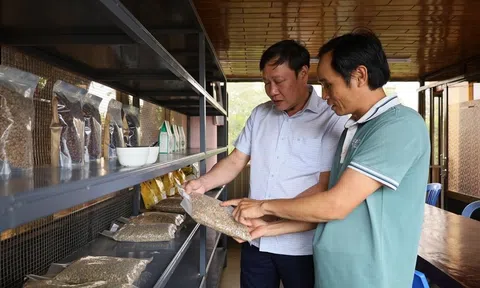 Đắk Lắk: Đăng nhập tài khoản thành viên LC88 tập thể vươn lên trong giai đoạn mới